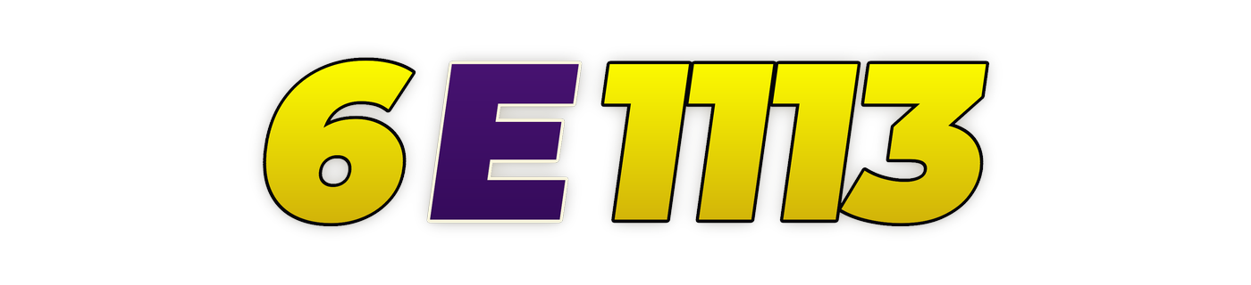 6e1113
